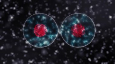 Hücre bölünmesi siyah sürüm 4k arka planda. Tıp ve bilim kavramı 3d video.