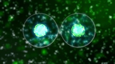 hücre bölünmesi Mikrobiyoloji ile mavi kan hücreleri veya neon bakterilerin mikroskop, popüler bilimsel arka plan 4k yüksek çözünürlüklü sorunsuz döngü, 3840 X 2160 altında