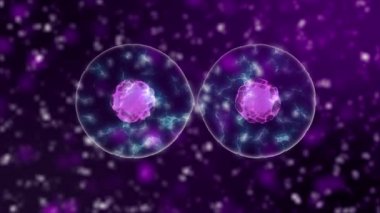 Mikrobiyoloji arka plan hücre bölünmesi ile mor kan hücreleri veya neon bakterilerin mikroskop, popüler bilimsel arka plan 4k yüksek çözünürlüklü sorunsuz döngü, 3840 X 2160 altında