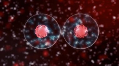 hücre bölünmesi Mikrobiyoloji ile hücreleri veya bakteri altında mikroskop, popüler bilimsel arka plan sorunsuz döngü, 4 k yüksek çözünürlüklü 3840 X 2160