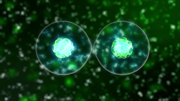 division cellulaire microbiologie avec, globules bleus ou bactéries néon au microscope, fond scientifique populaire boucle sans couture haute définition 4K, 3840 X 2160 