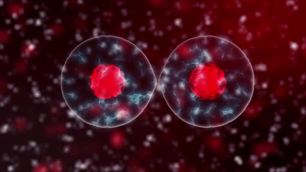 Microbiologia da divisão de células sanguíneas com, células ou bactérias ao microscópio, laço sem emenda de base científica popular, 4K de alta definição 3840 X 2160 — Vídeo de Stock