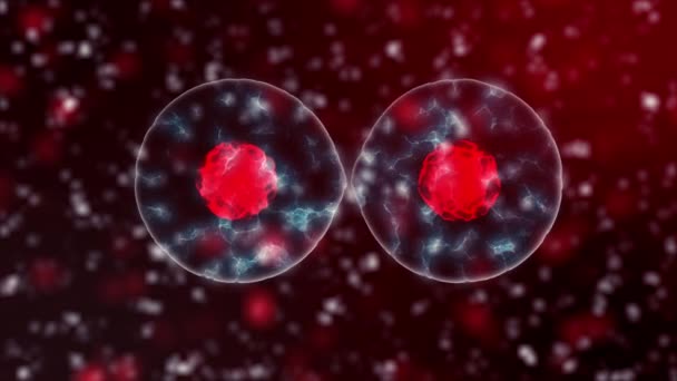 Cell Division black version background in 4K. Medical and science concept 3D video. — Stock Video © chivas1689@ #200536282 Cell Division black version background in 4K. Medical and science concept 3D video. — Stock Video © chivas1689@ #200536282