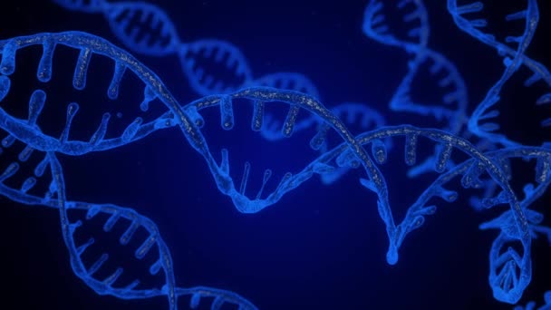 Astratto blu scintillante DNA doppia elica con profondità di campo. Animazione della costruzione del DNA da detriti. Animazione scientifica. Filmati futuristici di Genom. Progettazione concettuale dell'informazione genetica. 4k — Video Stock