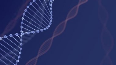 Alan derinliği ile soyut mavi ışıltılı Dna çift sarlak. Enkazdan DNA yapımının animasyonu. Bilim animasyonu. Genom fütüristik görüntüleri. Genetik bilginin kavramsal tasarımı. 4k