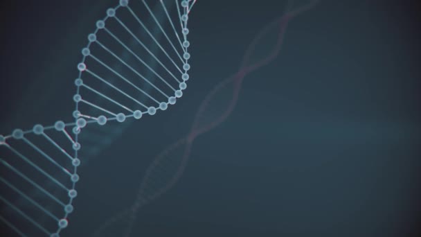 Astratto blu scintillante DNA doppia elica con profondità di campo. Animazione della costruzione del DNA da detriti. Animazione scientifica. Filmati futuristici di Genom. Progettazione concettuale dell'informazione genetica. 4k — Video Stock