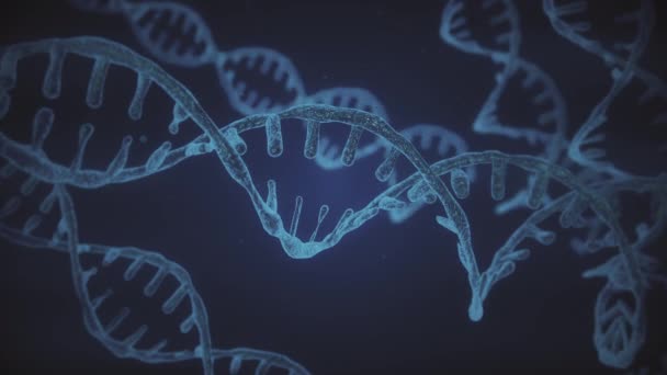 Biru abstrak berkilauan DNA helix ganda dengan kedalaman lapangan. Animasi konstruksi DNA dari debrises. Animasi sains. Rekaman futuristik Genom. Desain konseptual dari informasi genetik. 4k — Stok Video