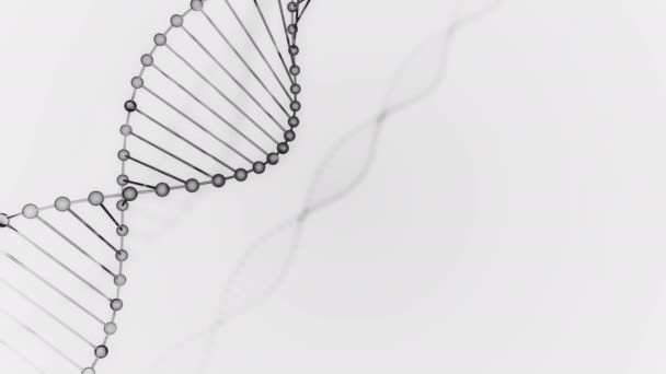 被写界深度の抽象的な黒い輝くDNA二重らせん。デブリ3DレンダリングからのDNA構築のアニメーション。科学アニメーション。ジェノム未来的な映像。遺伝学の概念設計 — ストック動画