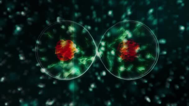 Animated 3d model of coronavirus 2019-nCoV pathogen cells inside infected organism showing as μωβ σφαιρικοί μικροοργανισμοί που κινούνται σε μαύρο φόντο. Αφηρημένη 3d απόδοση κοντινό βίντεο 4K. — Αρχείο Βίντεο