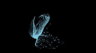 Müzik videoları için VJ döngüsü, gece kulüpleri, görsel ve işitsel gösteriler ve sunumlar, LED ekranlar ve projeksiyon haritaları. 3 boyutlu görüntüleme. Noktaların rastgele hareketi