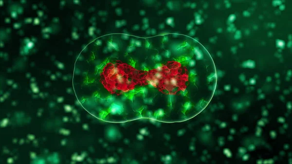 Abstrakt 3D-modell av coronavirus 2019-nCoV patogena celler i infekterat blod visas som azurfärgade sfäriska mikroorganismer som rör sig på en svart bakgrund. Animerad 3D-återgivning närbild 4K video. — Stockfoto