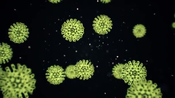 Ιός coronavirus 2019-nCoV απεικόνιση λοίμωξης. Παθογόνα κύτταρα μέσα σε μολυσμένο άνθρωπο εμφανίζονται ως νέον πράσινο σφαιρικοί μικροοργανισμοί σε μαύρο φόντο. Κινούμενα 3d απόδοση κοντινό βίντεο 4K. — Αρχείο Βίντεο