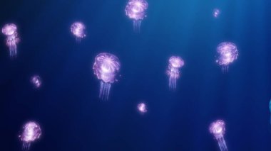 Mavi arka planda güneşli tavşanlar içinde renkli morumsu denizanaları hareket eder. Etkinlik çerçeveleri, konser, set tasarımı, başlık, başlık, sunum, web sitesi, editörler ve LED ekranlar ve projeksiyon haritaları için VJ. 3B görüntüleme