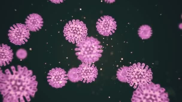Concept van het coronavirus bekend als COVID19 of 2019-nCov. Donkerroze gekleurde viruscellen bewegen in zwarte ruimte achtergrond. Loop 3d rendering animatie in 4K video. — Stockvideo