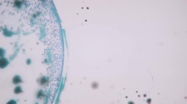 Soyut 3D görüntüleme uyduları yıldız bağlantı ağı, dijital dünya veri küresi - dünyayı birbirine bağlar. Uydular gezegeni çevreleyen bir ağ ya da gökyüzü köprüsü oluşturur. Karmaşıklık taşıyan büyük veriler taşar.