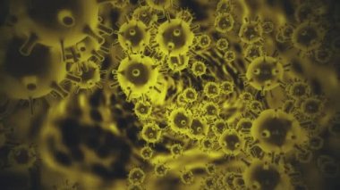 Domuz gribi virüsü H1N1 virüsü mikrop kapmış organizmanın içinde. Mikroskop altında siyah uzayda koyu sarı hücreler olarak gösterilen virüs. Virüs salgına yol açıyor. 4K içinde 3D canlandırma.