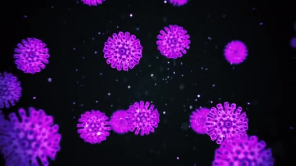 Visualizzazione dell'infezione da COVID19 coronavirus. Cellule patogene all'interno di umani infetti mostrati come microrganismi sferici al neon viola su sfondo nero. Concetto astratto nel rendering 3d close up video 4K. — Video Stock