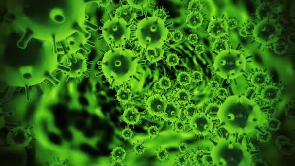 Ιός του Coronavirus COVID19 απεικόνιση λοίμωξης. Patoghen κύτταρα είναι μέσα μολυσμένο άνθρωπο και φαίνεται ως νέον πράσινο σφαιρικό μικροοργανισμούς σε μαύρο φόντο. Αφηρημένη έννοια σε 3D απόδοση 4K βίντεο. — Αρχείο Βίντεο