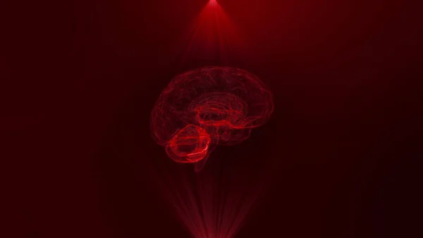 KI. Animiertes dreidimensionales Modell des Gehirns in den roten Strahlen. Looping-Animationsschleife. Das Konzept der neuen Technologien in Wissenschaft und Medizin. 3D-Darstellung. — Stockfoto