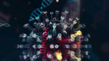 Siyah zemin üzerinde hareket eden mor küresel mikroorganizmalar olarak gösterilen enfekte organizmanın içindeki 3D Coronavirus 2019 nCoV patojen hücrelerinin animasyon modeli. Soyut 3D görüntüleme 4K video kapatma.