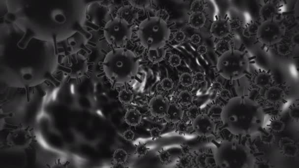 Sertésinfluenza vírus H1n1 kórokozó a fertőzött szervezetben. Vírus elektronmikroszkóp alatt, sötét szürke sejtekként fekete űrben. Vírusos betegség elvont fogalom. 3D renderelés animáció 4K videó — Stock videók