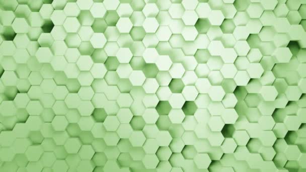 Abstrakt bikaka bakgrund. Lätt, minimal, ren, rörlig sexkantig grön meshvägg med skuggor. Gångjärn i brett format. 3D-rendering — Stockvideo