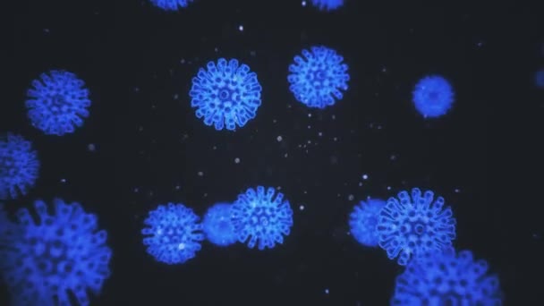 Visualización de la infección por coronavirus COVID19. Las células de patógeno están dentro de humanos infectados que se muestran como microorganismos esféricos de color azul neón sobre un fondo negro. Concepto abstracto 3D renderizado primer plano vídeo 4K. — Vídeo de stock