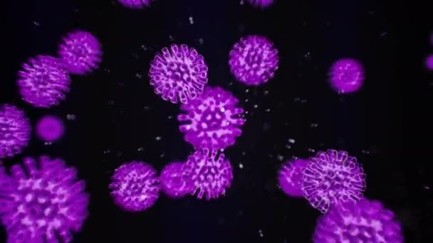 Pathogeen van coronavirus covid19 in geïnfecteerd organisme. Virus onder microscoop als paarse cellen op zwarte achtergrond. Gevaarlijke virusstammen leiden tot epidemieën. 3d weergave animatie in 4K. — Stockvideo