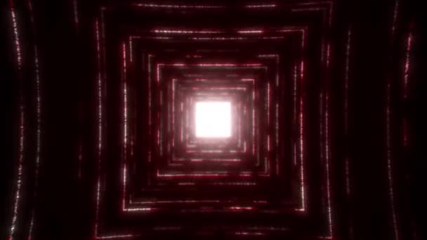 Egy vörös neonrészecskékből álló négyzet alakú alagutat vezet. Zökkenőmentes VJ hurok zenei videókhoz, éjszakai klubokhoz, audiovizuális műsorokhoz és prezentációkhoz, LED képernyőkhöz és vetítőkártyákhoz. 3D-s renderelés — Stock videók
