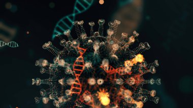 Mikrop kapmış organizmanın içindeki Coronavirus 2019-nCov patojeni siyah zemin üzerinde mavi renkli yuvarlak hücreler olarak sunuluyor. 2019-nCoV, SARS, H1N1, MERS ve diğer salgın virüsler konsepti. 4K içinde 3D görüntüleme.
