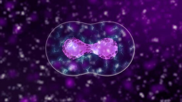 Virus cells of coronavirus 2019-nCov in blood vessel as round grey cells on black background. Animated concept of virus strain cases like coronavirus, SARS, MERS. 3d rendering in 4K footage.