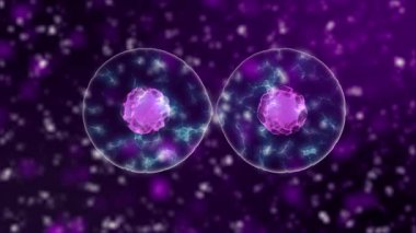 Kan damarlarındaki Coronavirus 2019-ncov 'un virüs hücreleri siyah zemin üzerinde yuvarlak gri hücreler olarak. Coronavirus, Sars, Mers gibi virüs vakalarının animasyon konsepti. 4K görüntüde 3D görüntüleme.