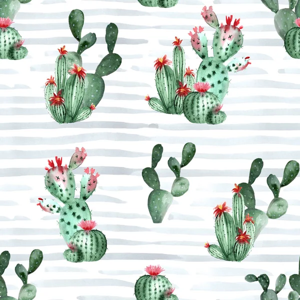 Akwarela Obraz Botaniczny Kwitnący Kaktus Szarym Tle Pasiasty Niebieski Wzór — Zdjęcie stockowe