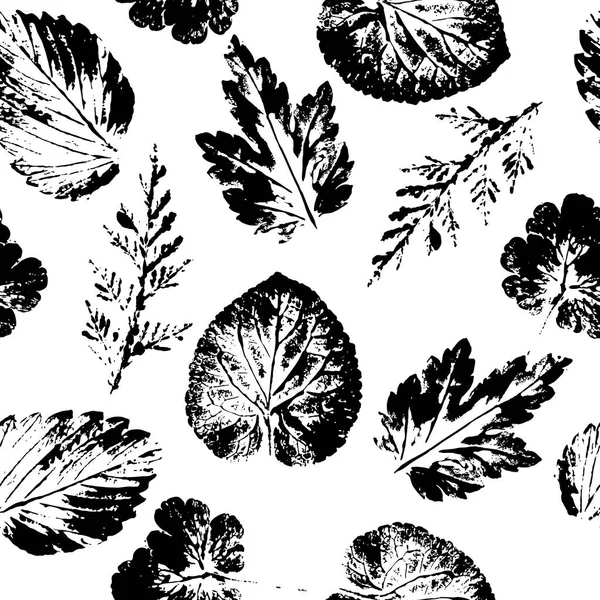 Merhaba sonbahar. Yaprak sonbaharda. Farklı Dikişsiz sonbahar desen bırakır. Beyaz üzerine siyah.