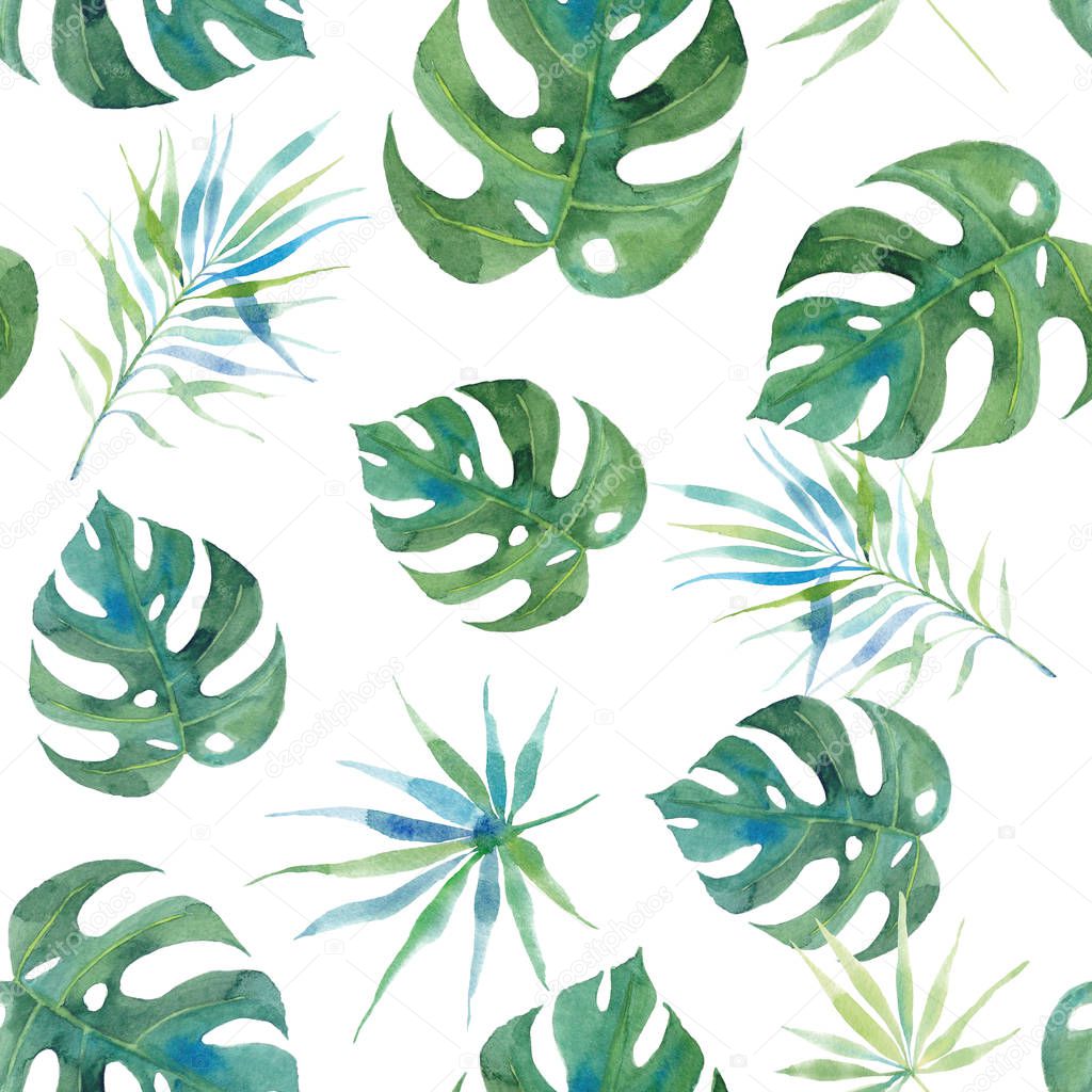 Exotic tropical leaves pattern on white background. Watercolor h