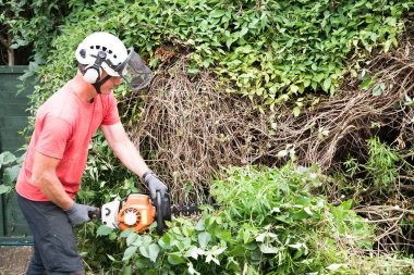 Bir ağaç cerrahı ile küçük bir dal kesmek için testere kullanır.