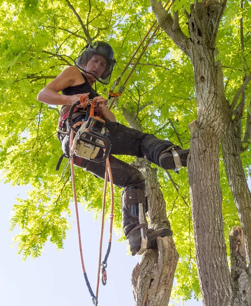 Kadın Arborist Bir Chainsaw Kullanmak Hazırlanıyor — Stok fotoğraf