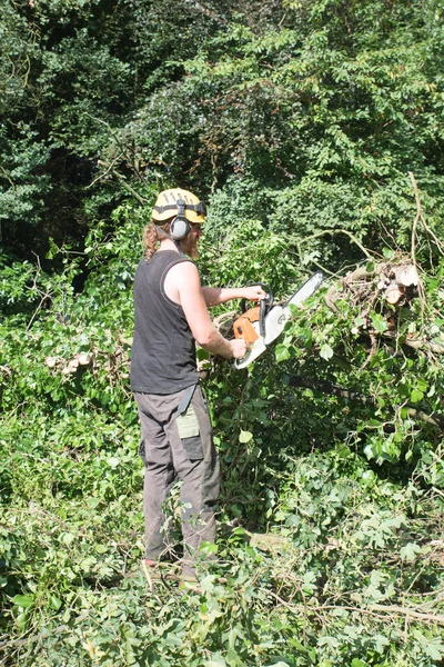 Manliga Tree Kirurgen Använder Motorsåg — Stockfoto