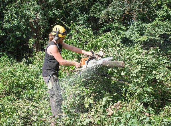 男性树外科医生使用电锯切断树枝的倒下的树 — 图库照片