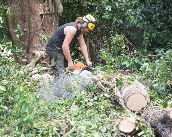 Manliga Tree Kirurgen Klipper Ett Falled Träd Små Bitar Med — Stockfoto