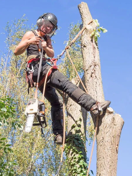 Chirurgien Arbre Femelle Préparant Utiliser Une Tronçonneuse Lorsqu Elle Est — Photo