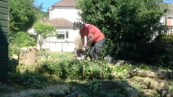 Male Tree Surgeon Cutting Felled Tree Chainsaw — Stock Video