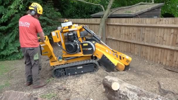 Orpington Royaume Uni Août 2018 Chirurgien Des Arbres Aide Une — Video