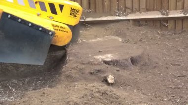 Bir ağaç kütüğü kaldırma sırasında sıkışmış bir güdük Bileme Makinası sesi.