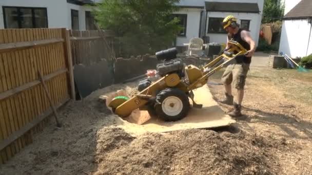 奥平顿 2018年8月29日 树艺家使用残端磨床移除砍伐的树的树桩 — 图库视频影像