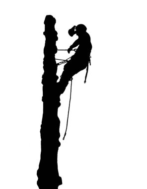 Bir ağaç cerrahı uzun bir ağaç üstündeki bir emanet ip ile sillouette gösterimi.