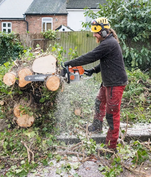 Arboristy v práci — Stock fotografie