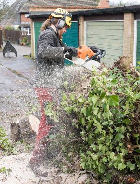 Bir ağaca testere arborist.