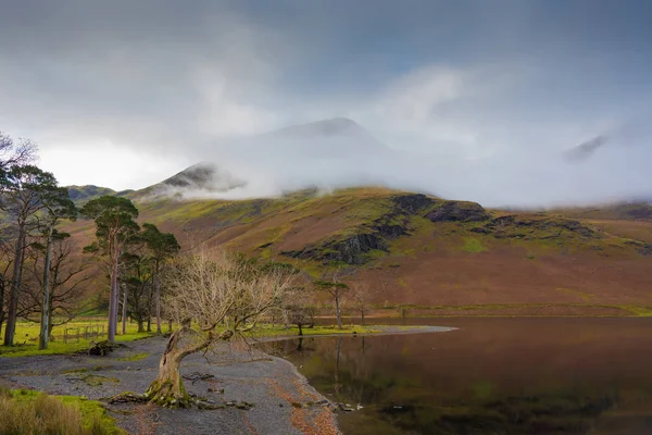 Crummock Su tarafından Shore