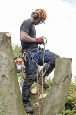 Arborist bağlama güvenlik halat.